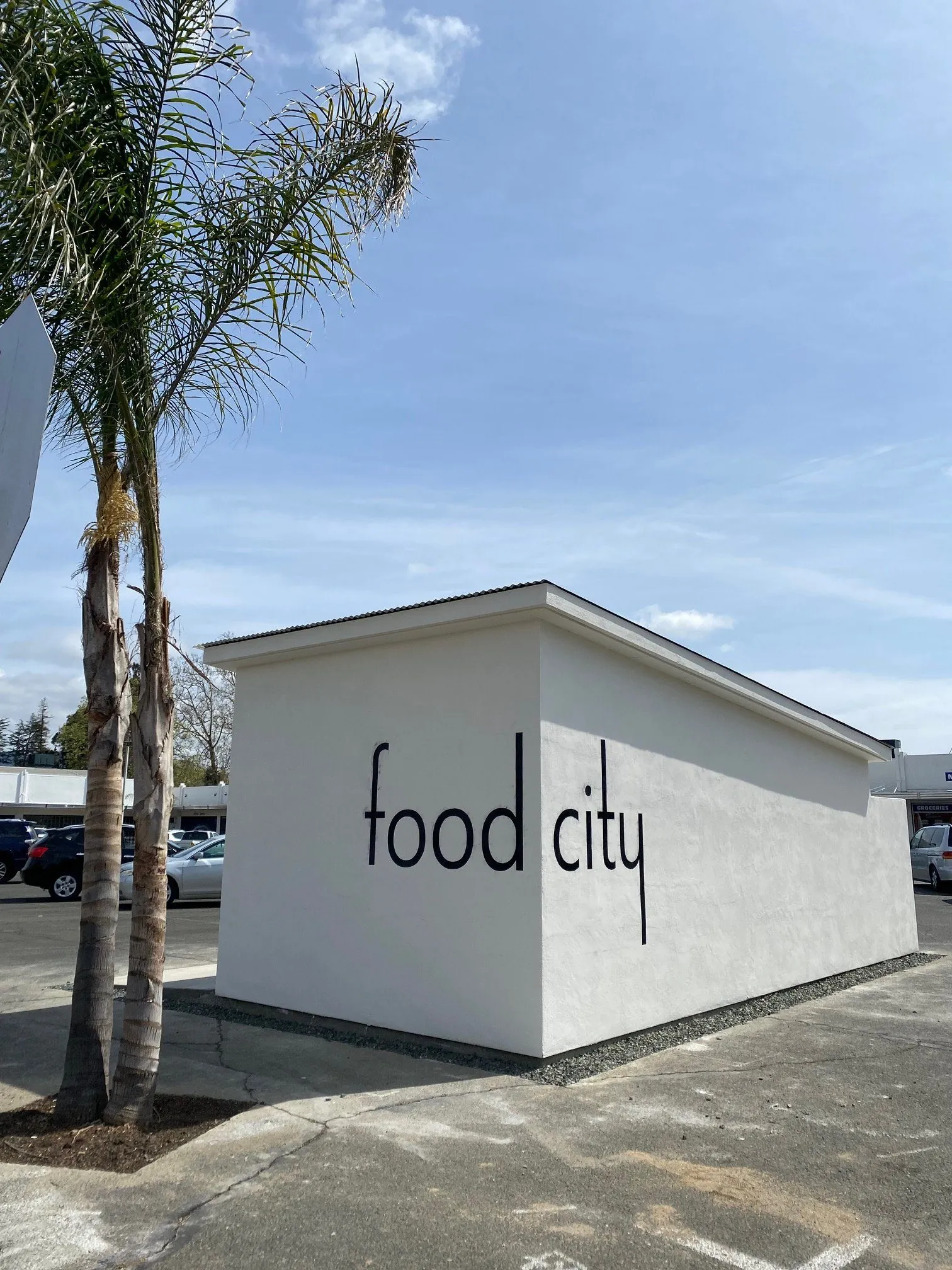 FOOD CITY — ARCHITECTURAL WALL LETTERING